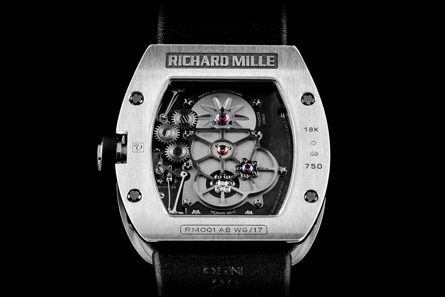 Richard Mille Diver, Rose Gold on Red Rubber Strap RM028Richard Mille Extra Flat